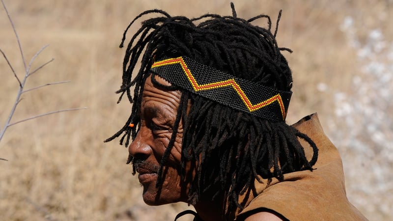 Indigenous species