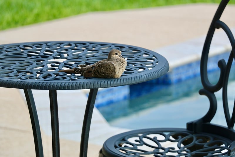 Patio herb gardens