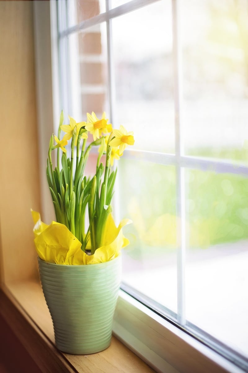 Boot Planter